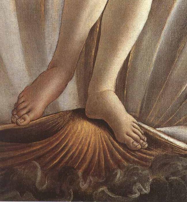 The Birth of Venus (mk36), Sandro Botticelli